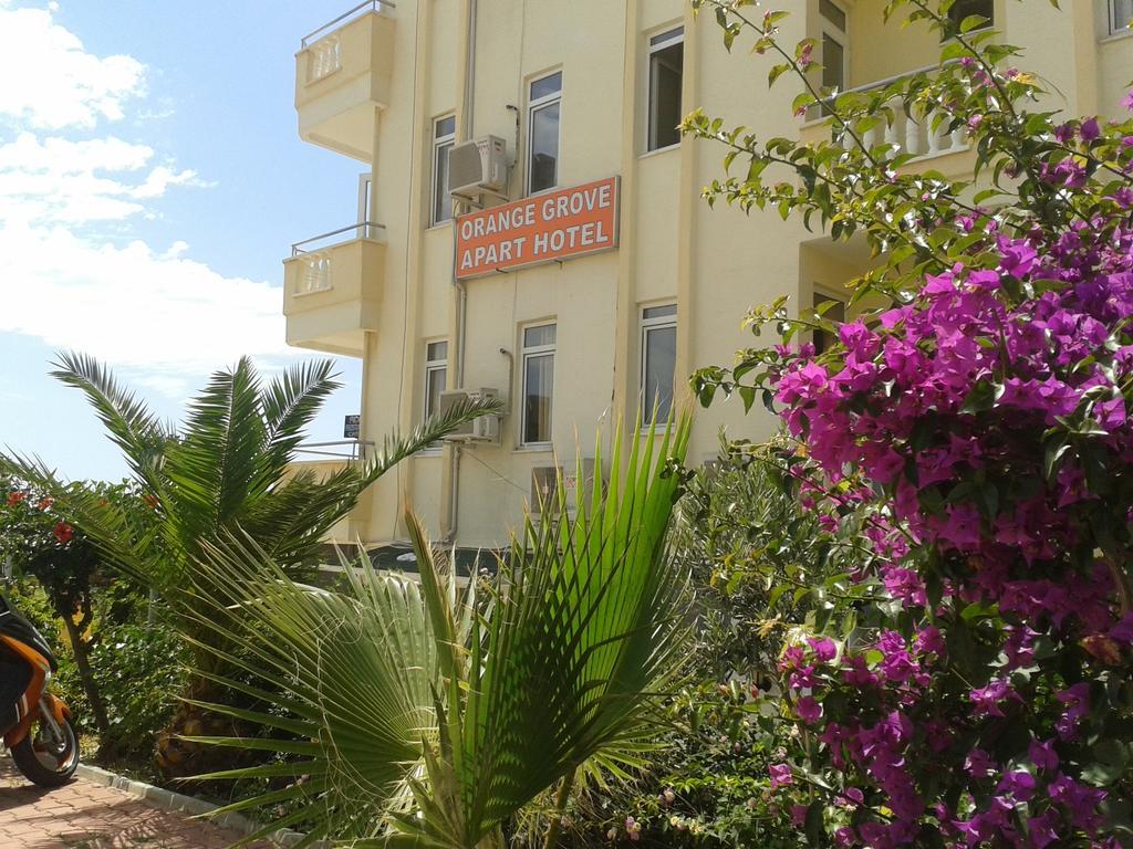Orange Grove Apart Hotel Alanya Zewnętrze zdjęcie